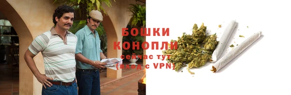 ешки Лагань