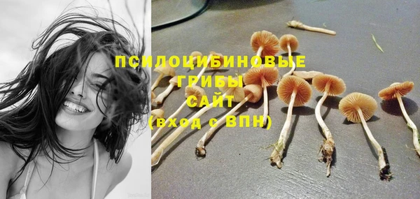 СК Ладушкин