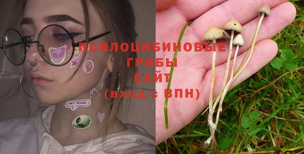 СК Ладушкин