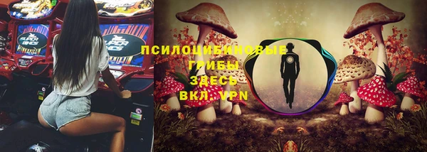 ешки Лагань