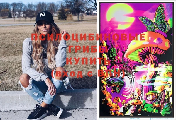 СК Ладушкин