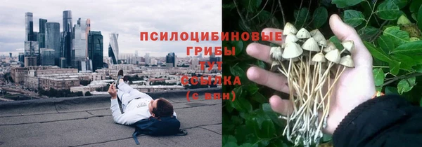 амфетамин Лабытнанги